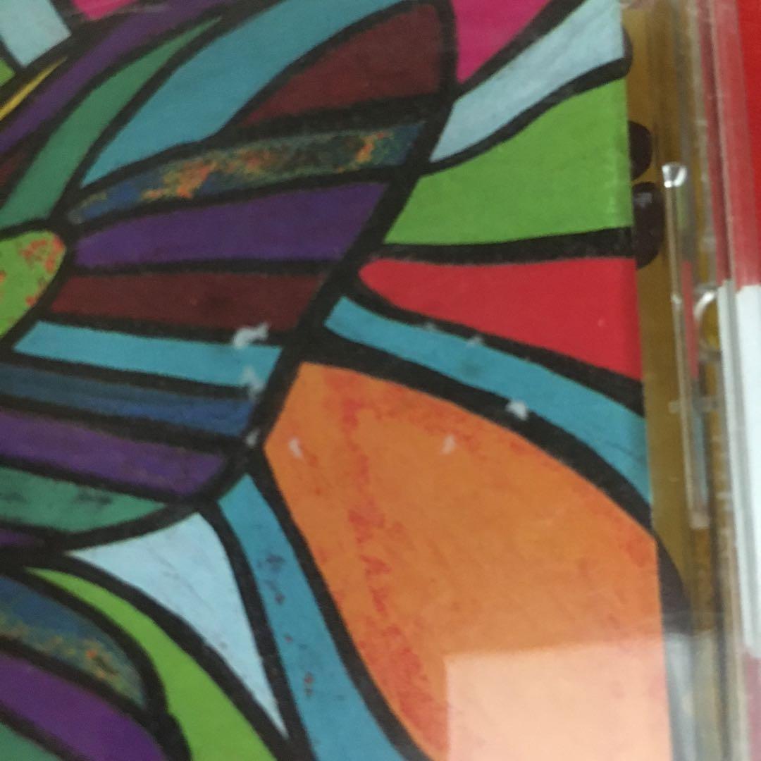 【G5943】COSMIC BUTTERFLY/DOOSYCOOKIE