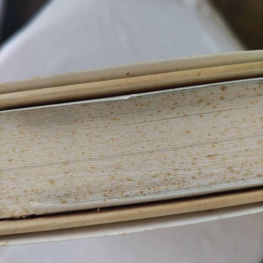 Amy Tan The Bonesetter's Daughter ハードカバー