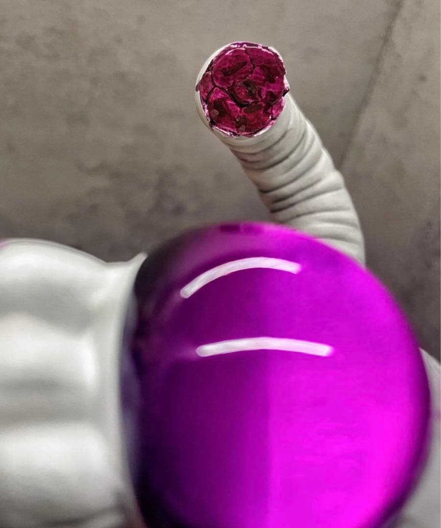 ドラゴンボール 1／6スケール 孫悟空 フリーザ フィギュア ガレージキット