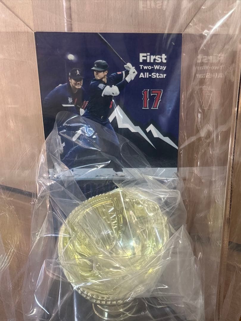 大谷翔平 2021 MLB初の二刀流オールスター記念 ボールディスプレイケース