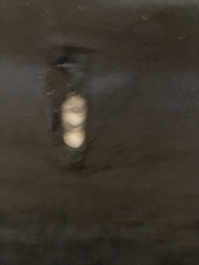 【送料込★美品】ソファベッド