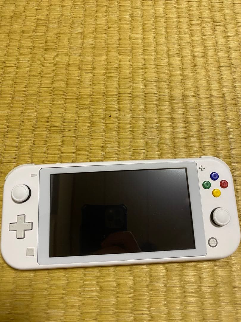 Nintendo Switch Lite 外装カスタム　本体のみ 即購入歓迎
