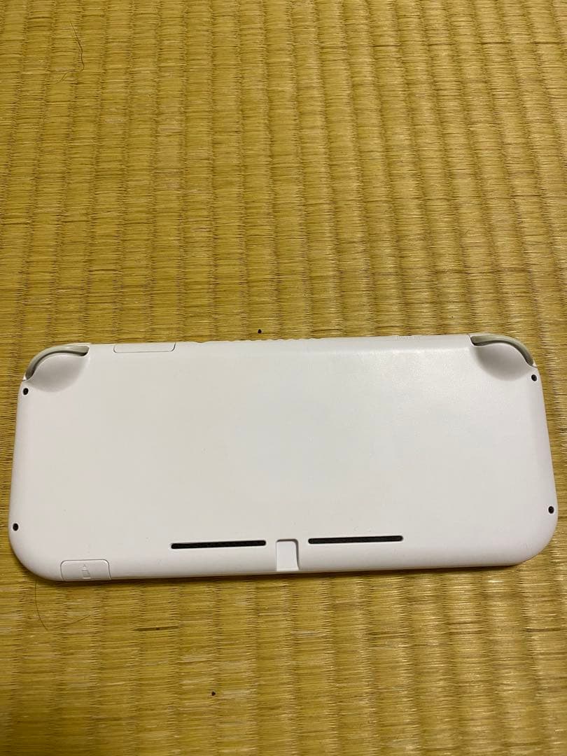 Nintendo Switch Lite 外装カスタム　本体のみ 即購入歓迎