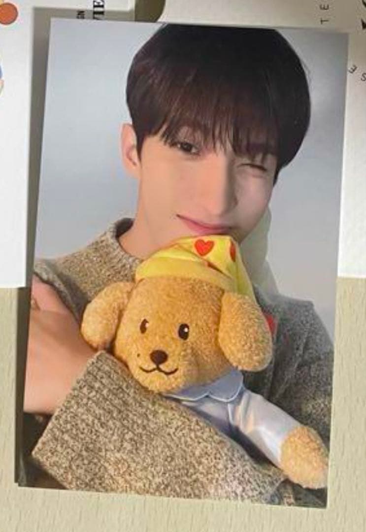 【あめちゃん】セブチ ドギョム アーティストメイド　ぬいぐるみ　トレカ