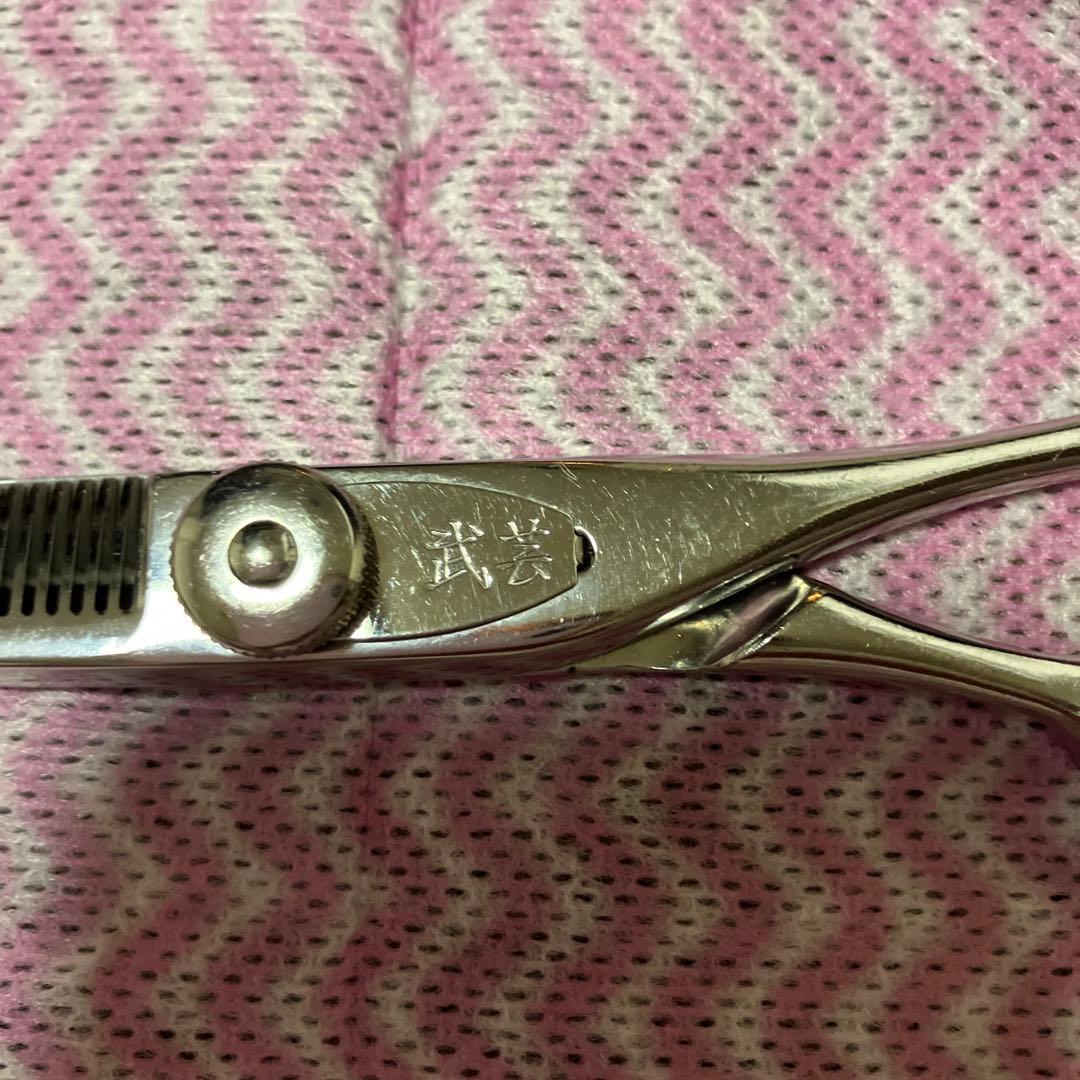 武芸セニングシザー