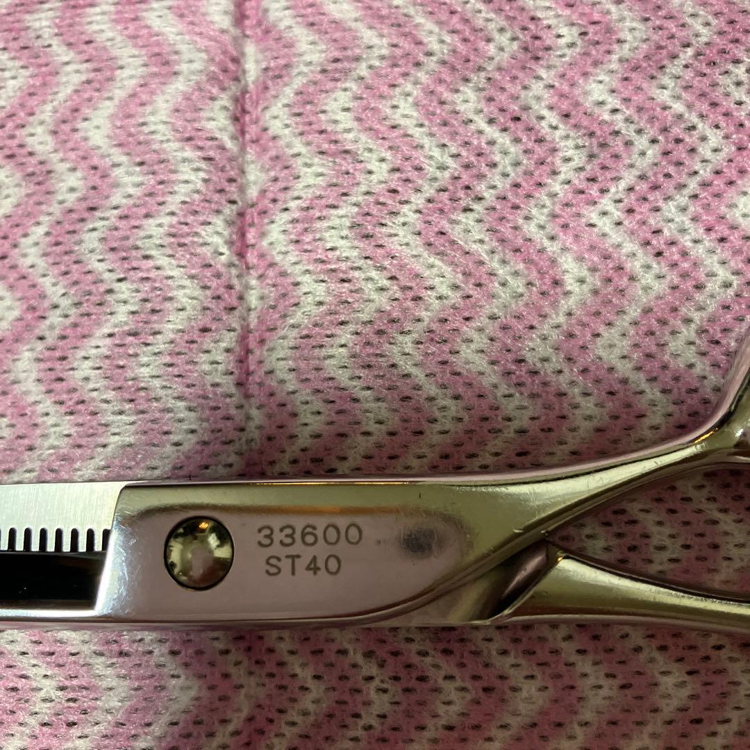 武芸セニングシザー