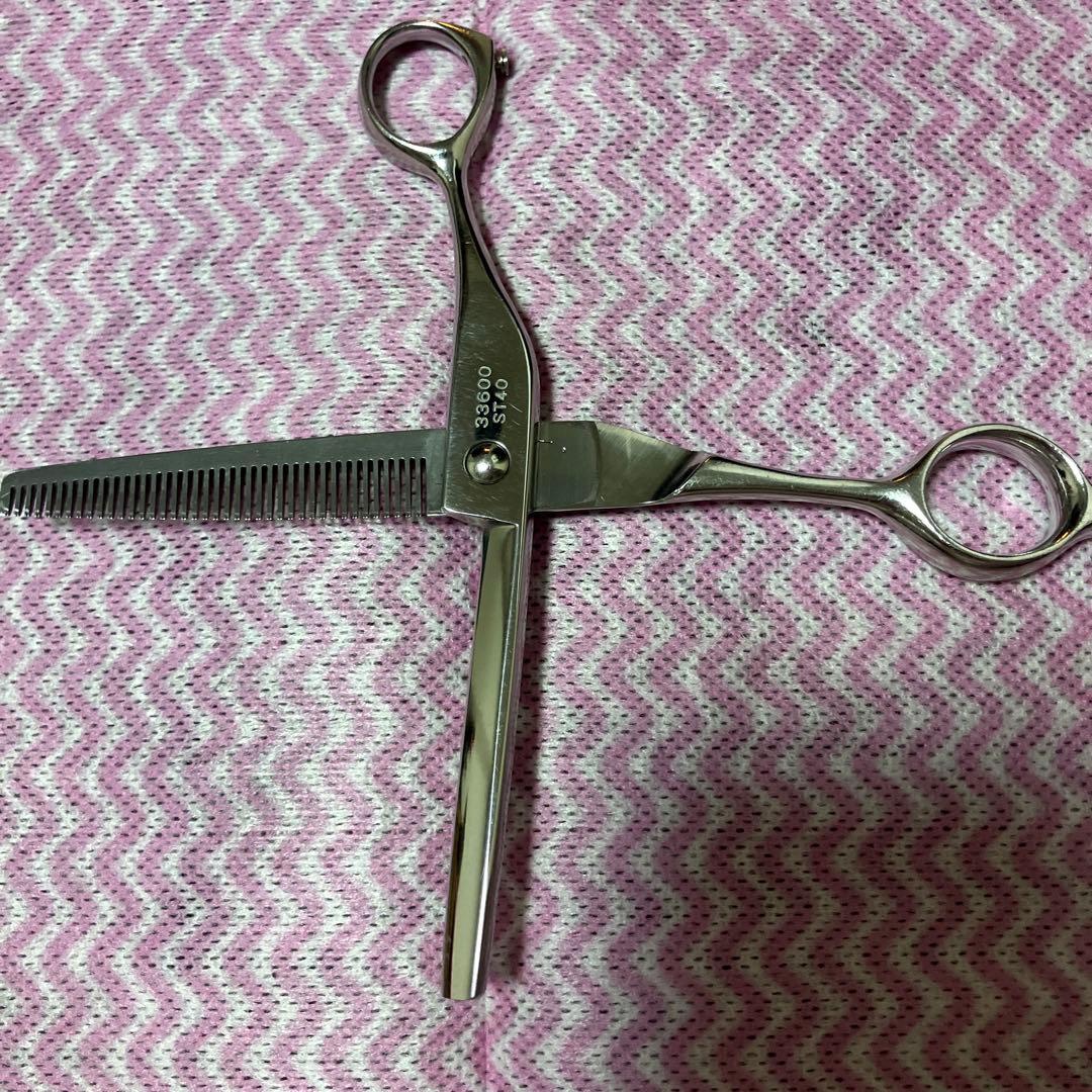 武芸セニングシザー