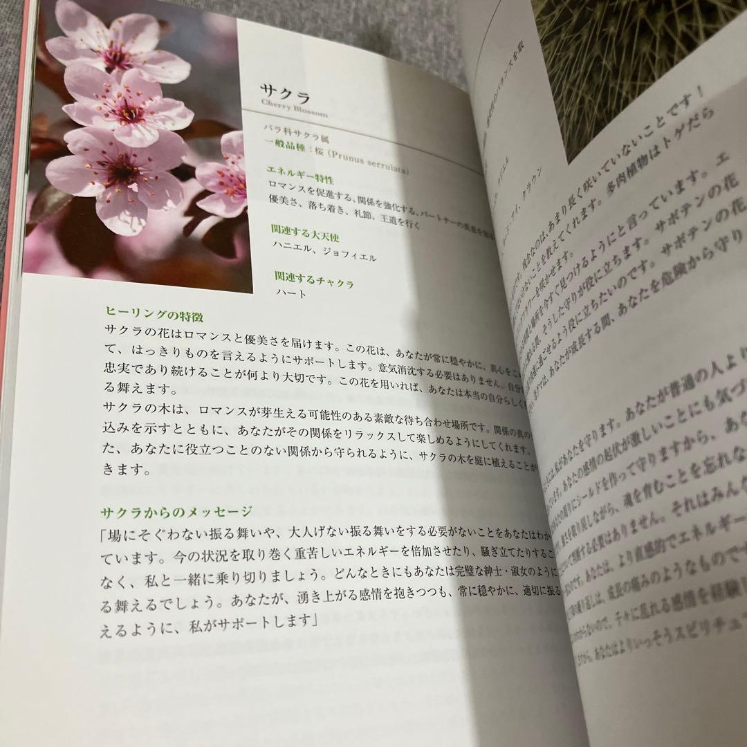 フラワーセラピーオラクルカード　日本語版
