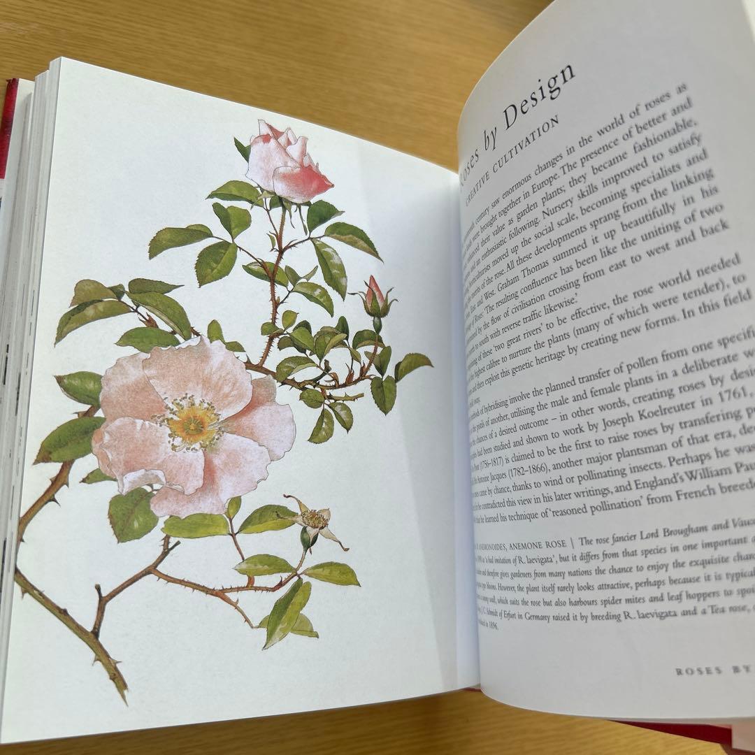 【洋書】ROSES ボタニカルアート バラ 英国王立園芸協会アーカイブ