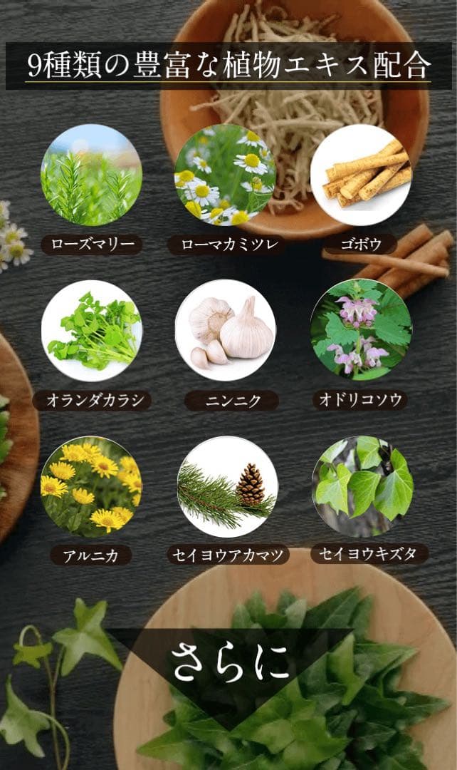 富山常備薬グループ 常備浴(医薬部外品)