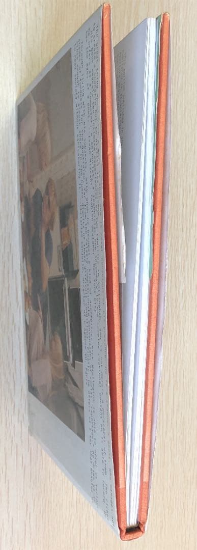 Nick Waplington Living Room 超希少本