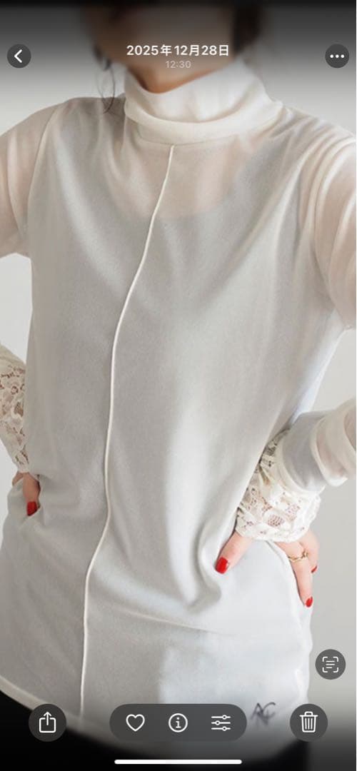 ANIECA ハイネックシアートップス未使用