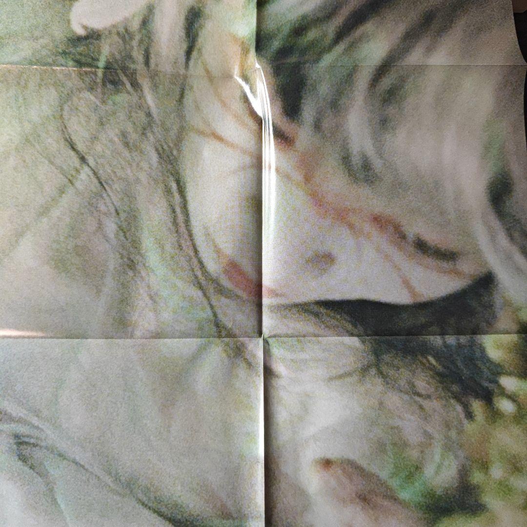 青葉市子 qp CD+DVD