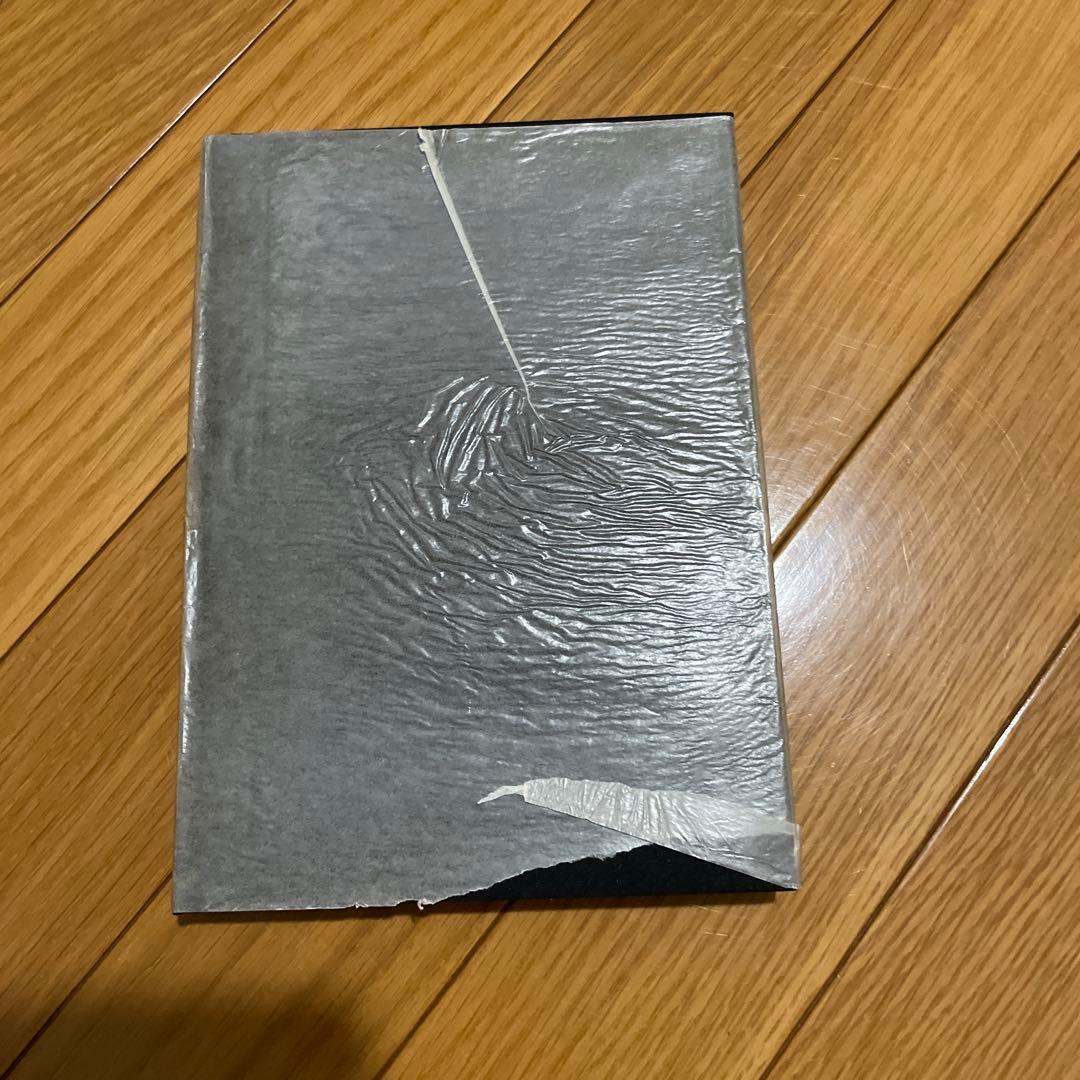 みじめな奇蹟　アンリ・ミショー