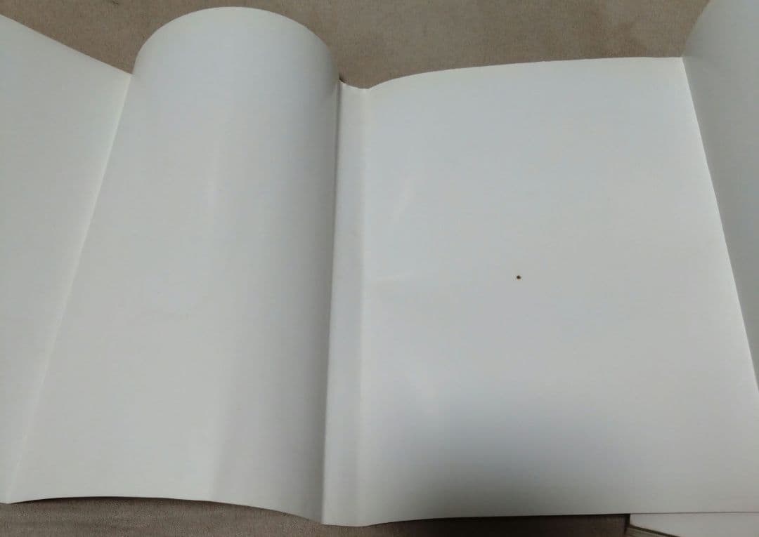 最終値下げ♪刺青道場 彫師への入門教科書 (上下巻)2　二代目梵天