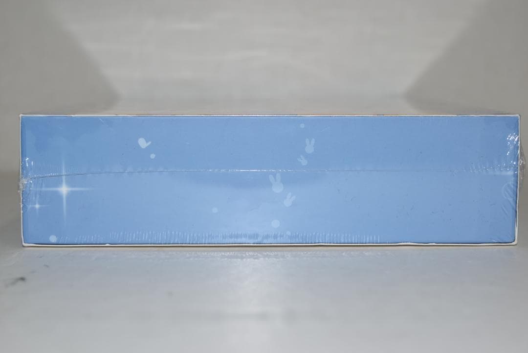 Switch ソフト　Rabi-Ribi　未開封　20251106F01S