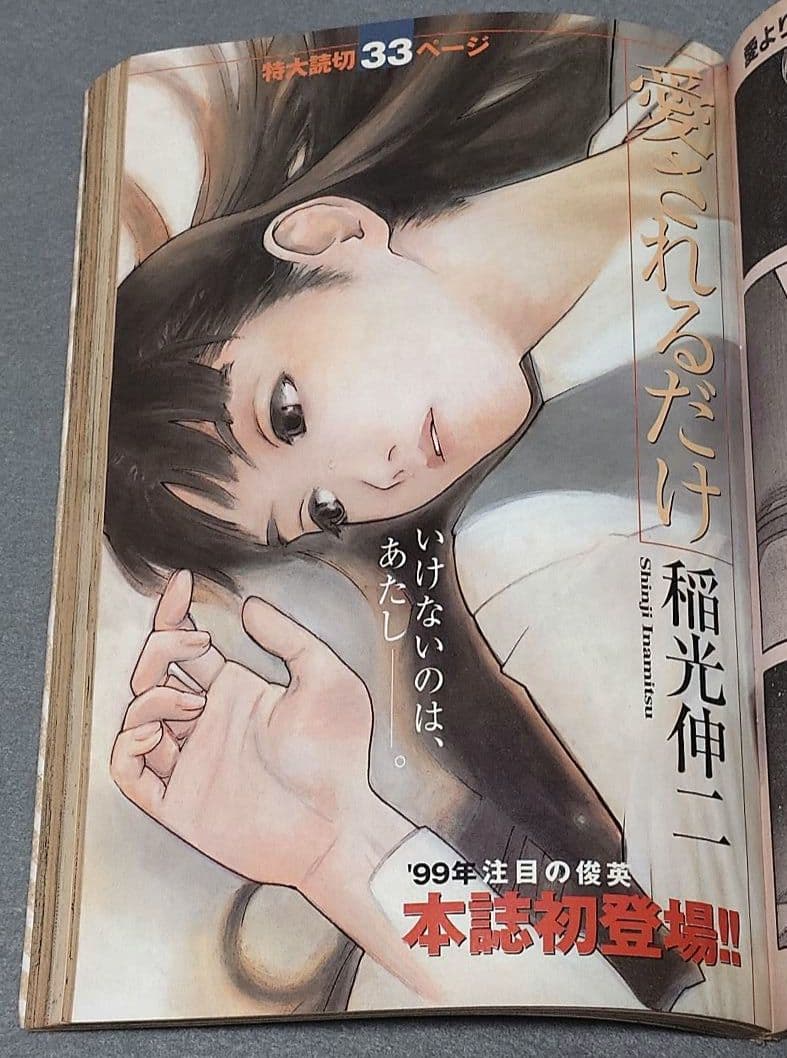 ヤングアニマル1999年2号ベルセルク第134話/浅倉めぐみ表紙&水着グラビア