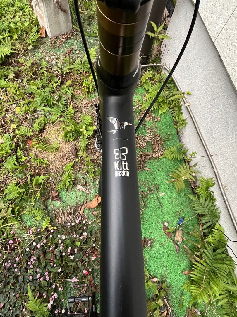 Tern SURGE X ターン サージュ カイ ミニベロ