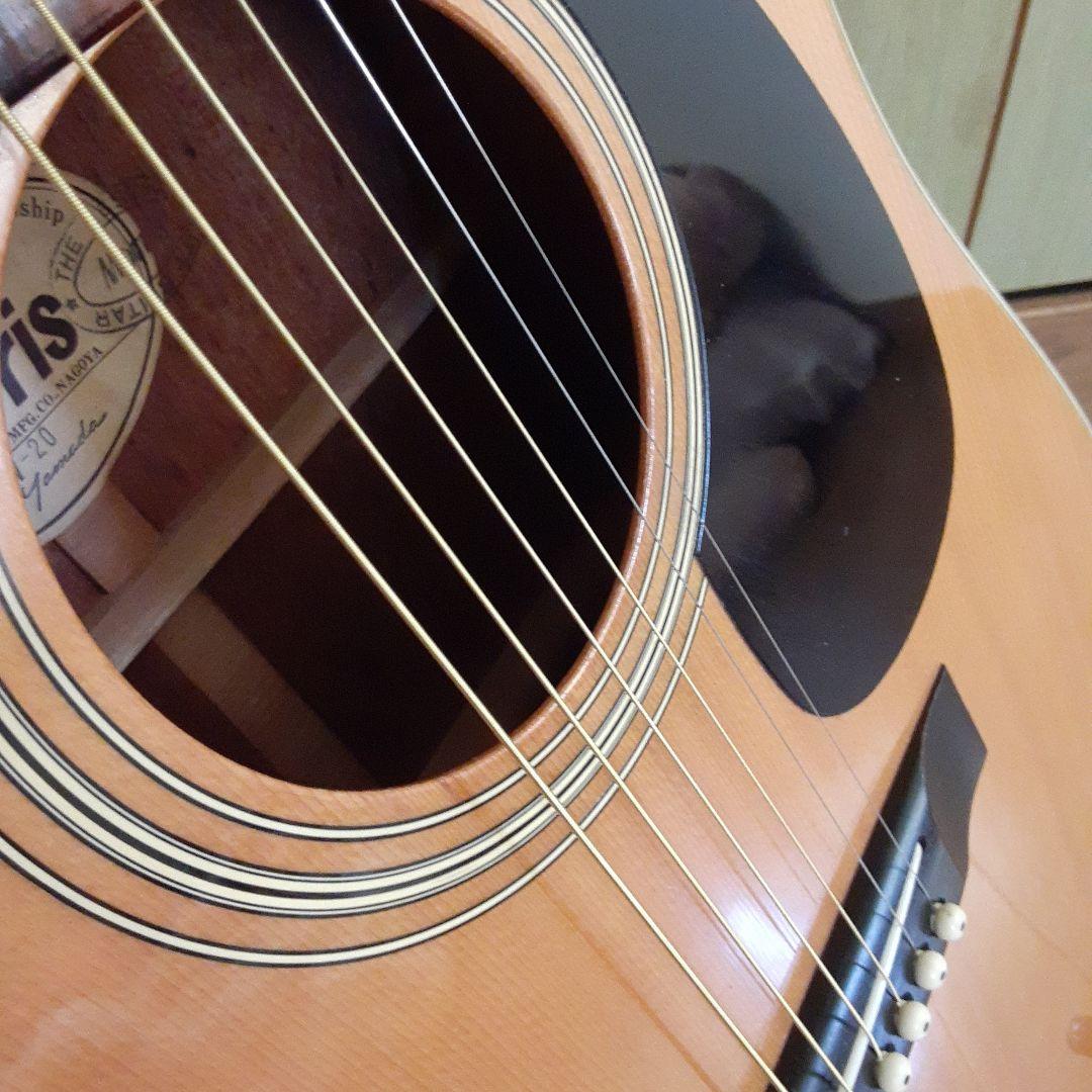 Morris W-20アコースティックギター ドレッドノート