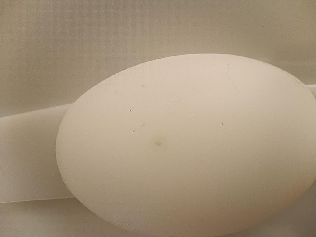 フェミクッション スターターキット (ライト) サイズI ベージュ