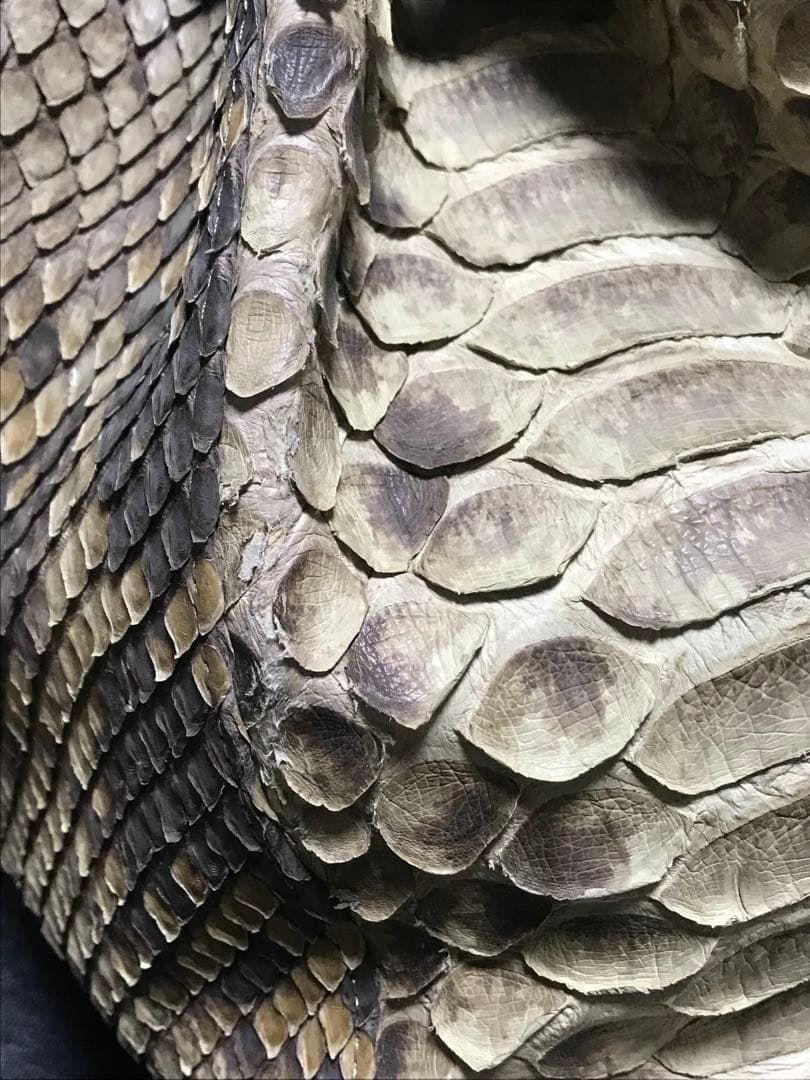 サンレミー　バッグ　高級パイソン