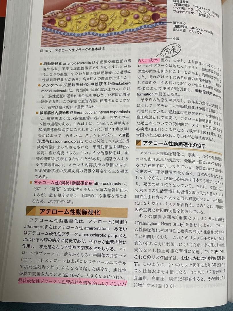 ロビンス基礎病理学原書第10版