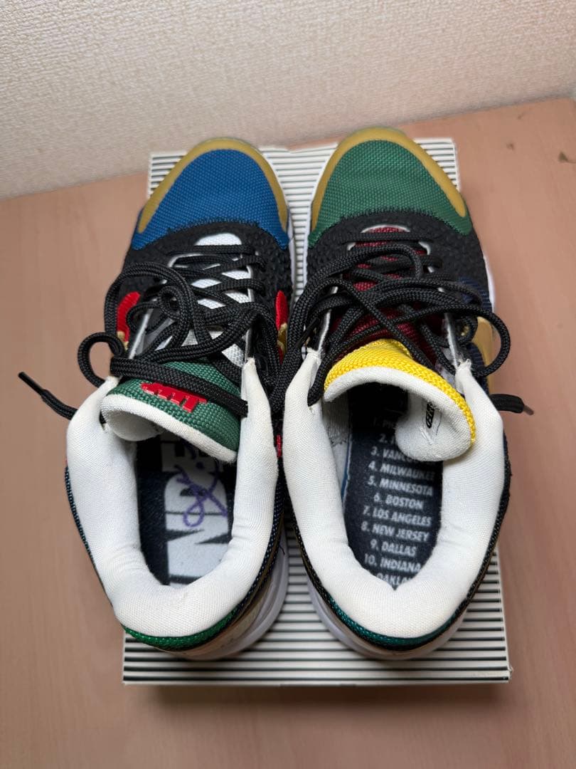 シューズ(男性用) UNDEFEATED Nike Kobe 5 Protro \"What If\"