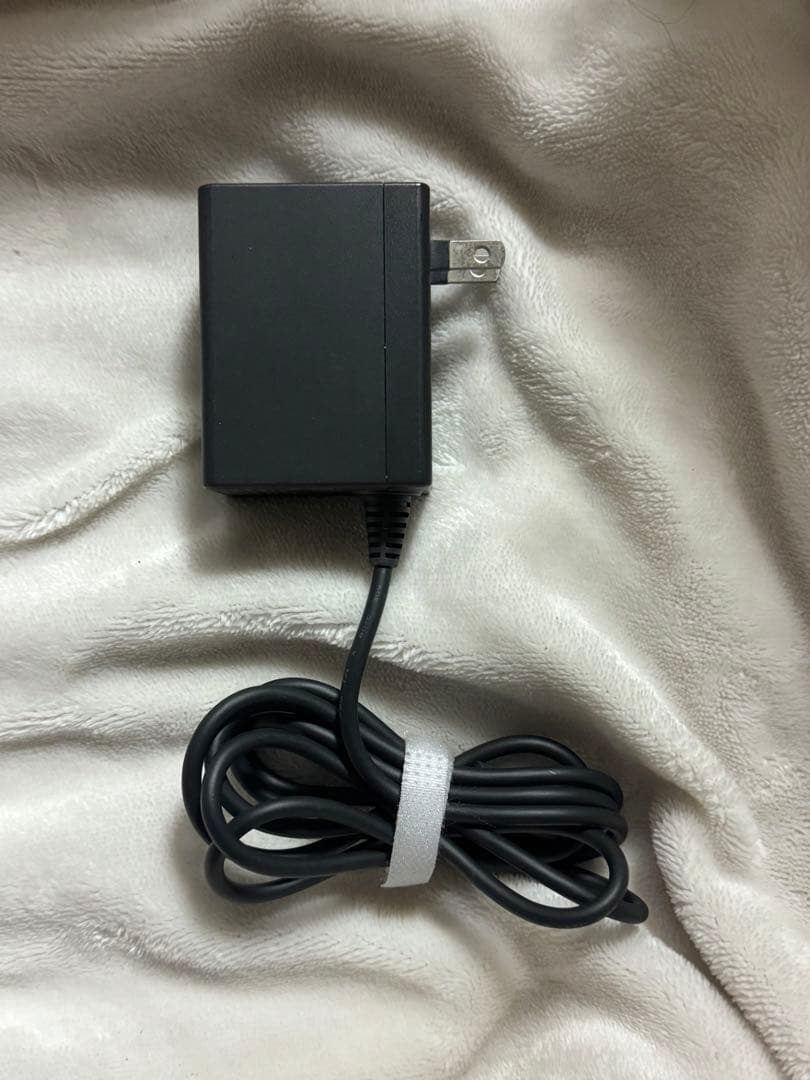 Nintendo Switch Lite コーラル本体 箱付き