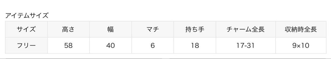 AP STUDIO エーピーストゥディオ エコバッグ チャーム