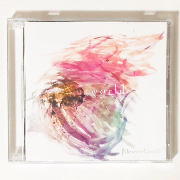 V系★NEVERLAND★CD＋DVD★21点セット