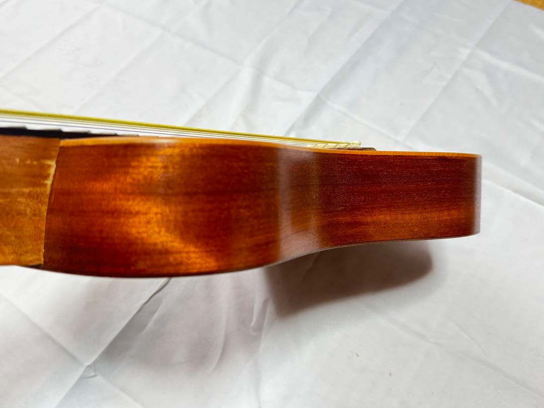 トラベルギター【 SX TRAVELLER TG1 】 アコースティックギター