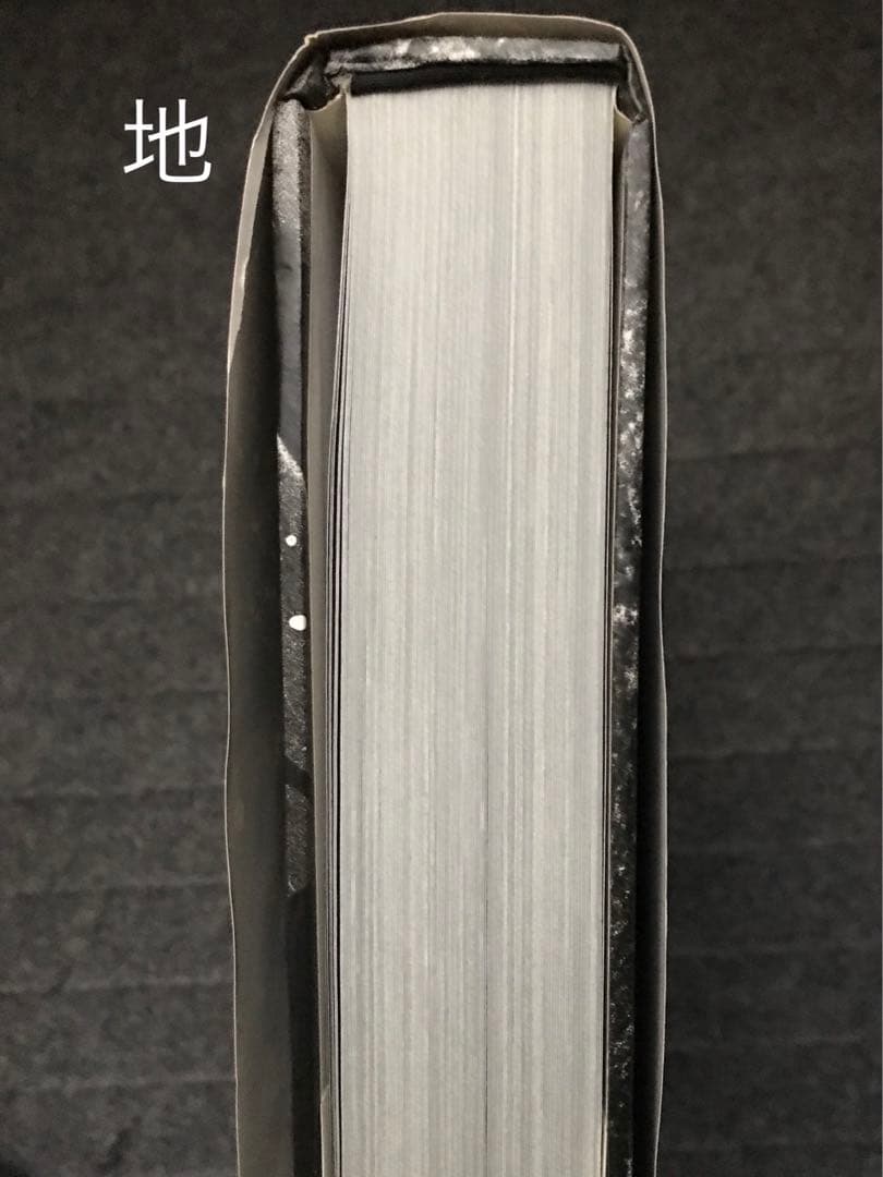 HOKKAIDO / Daido Moriyama 北海道 / 森山大道