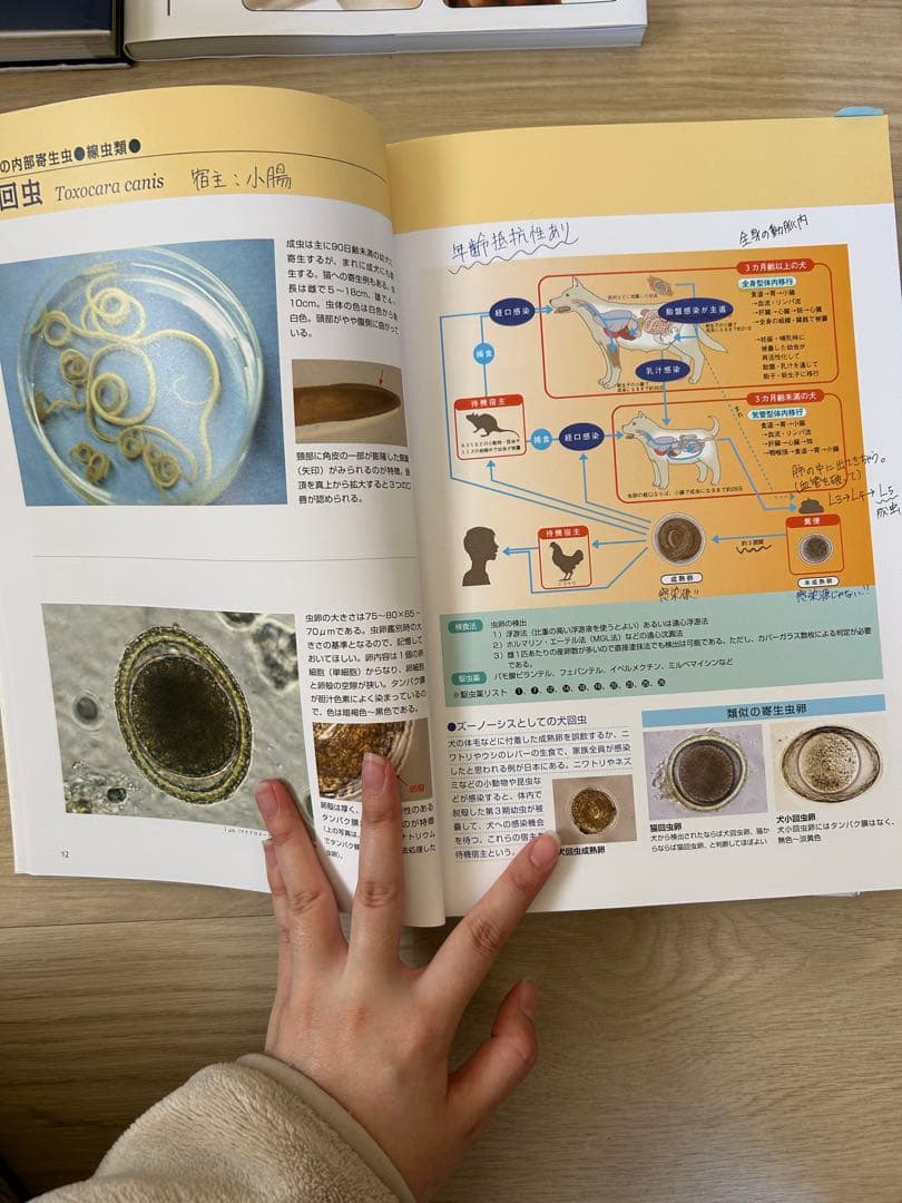 動物看護・動物関連 教科書セット（今年度版・ほぼ未使用