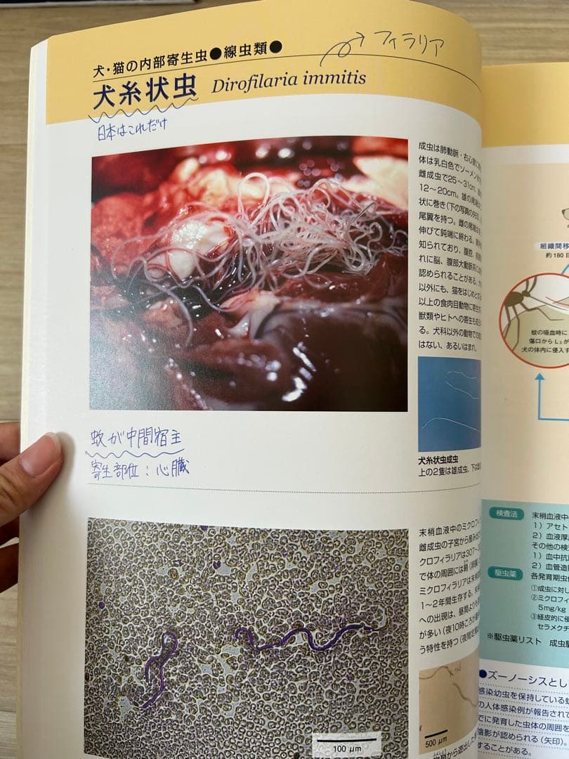 動物看護・動物関連 教科書セット（今年度版・ほぼ未使用