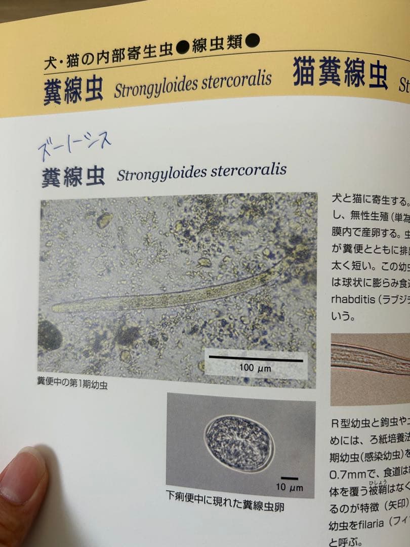 動物看護・動物関連 教科書セット（今年度版・ほぼ未使用