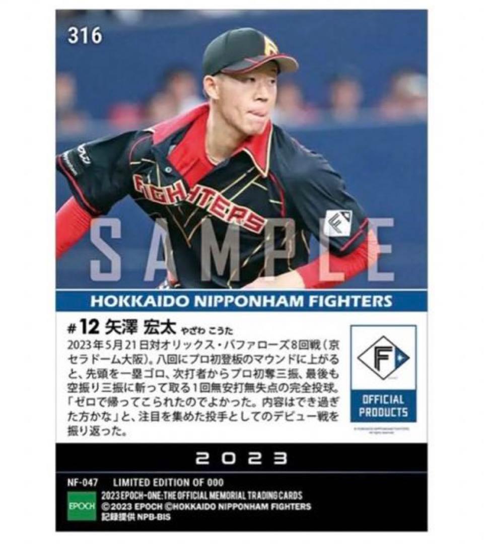 「5枚セット」RC【矢澤宏太】