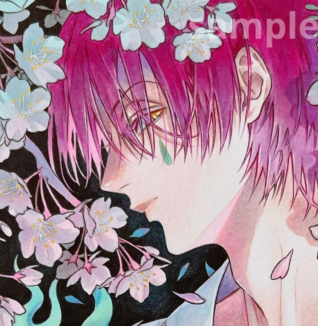 ✴︎ひなの⋈✴︎　手描き　イラスト　色紙