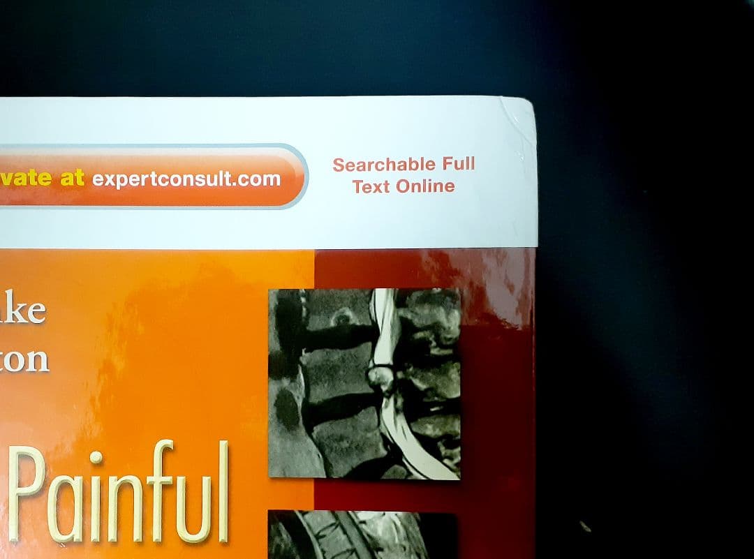 健康・医学 Imaging Painful Spine Disorders // 2011