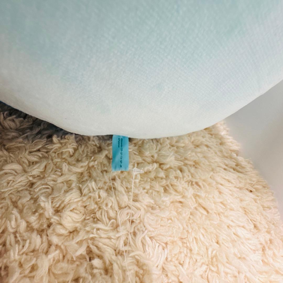 【タグ付】ポケモン ポッチャマ PCクッション レア