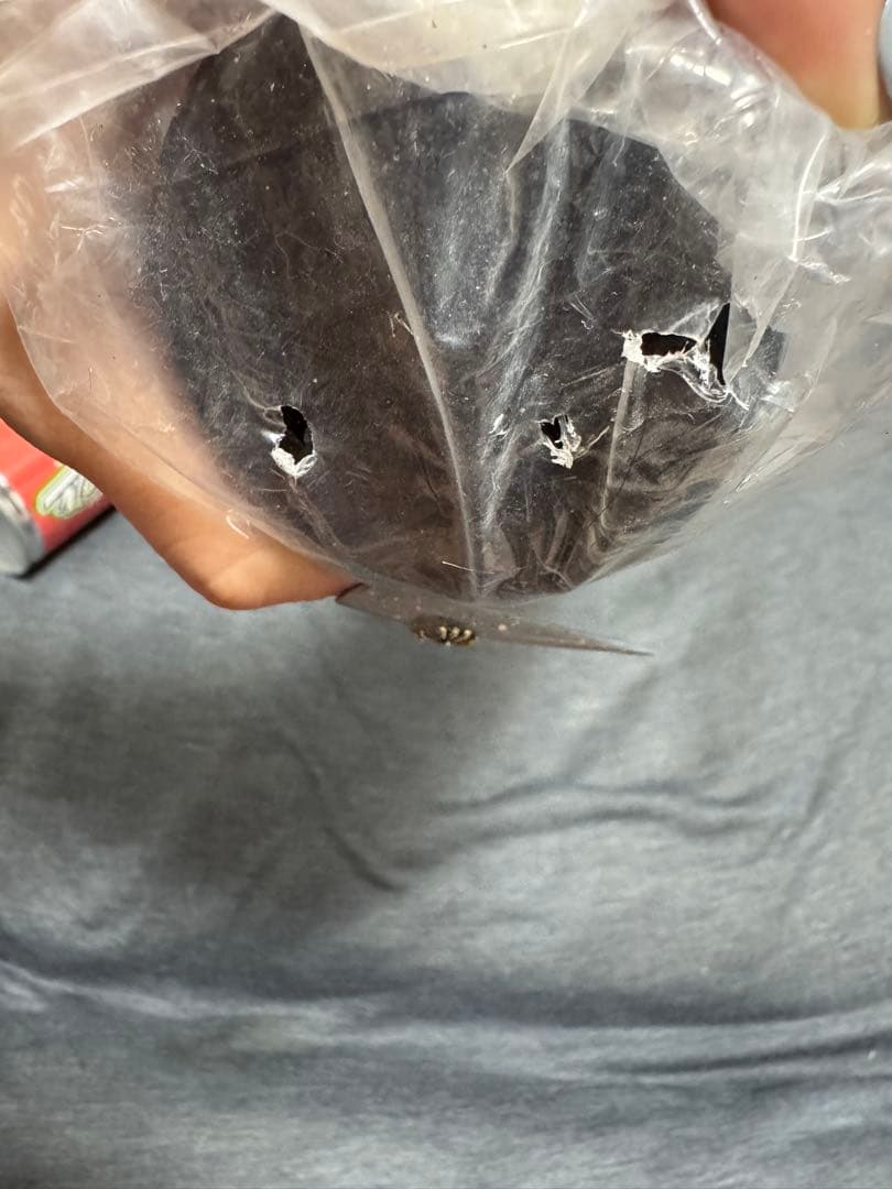 BFJ公認 木製バット SPECIAL ORDER メイプル製 003モデル