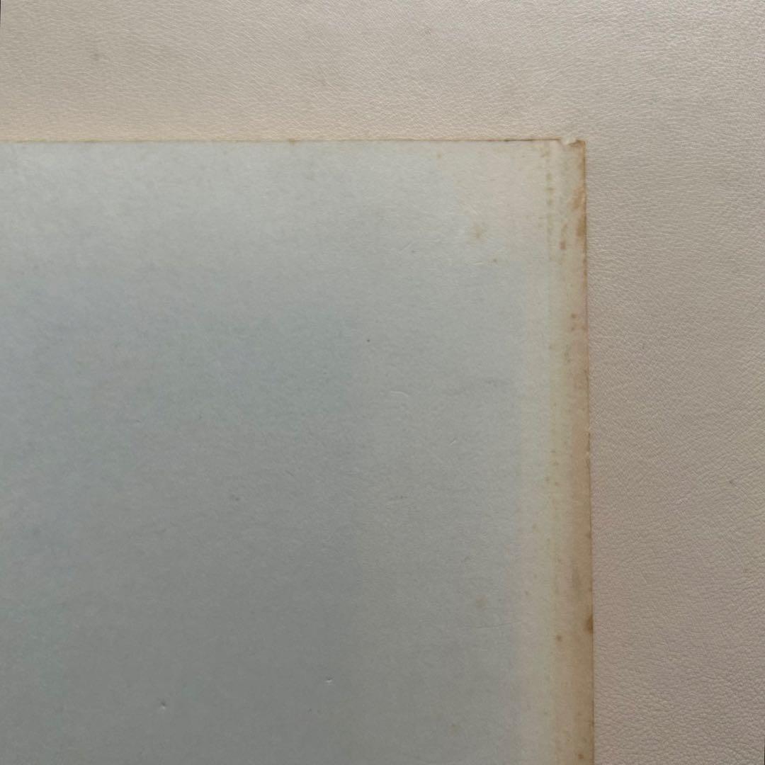 値下げ 希少 マーク・ボスウィック 1978 mark borthwick