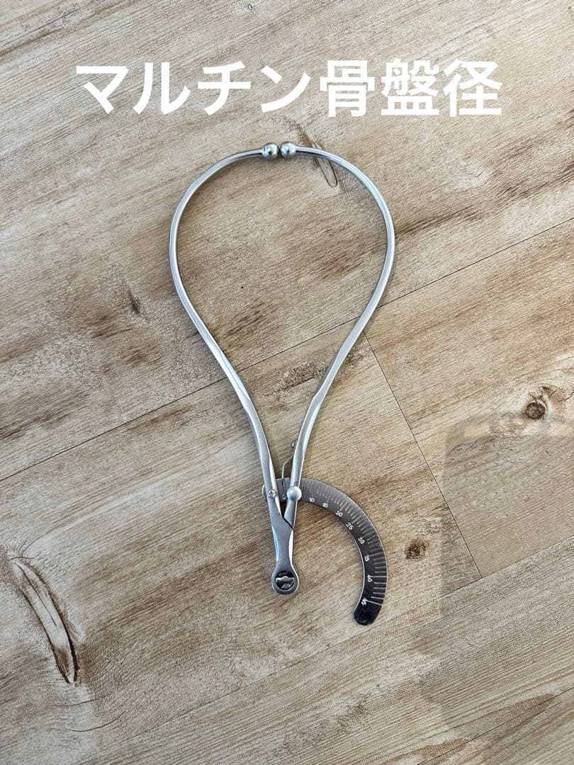 マルチン　骨盤径
