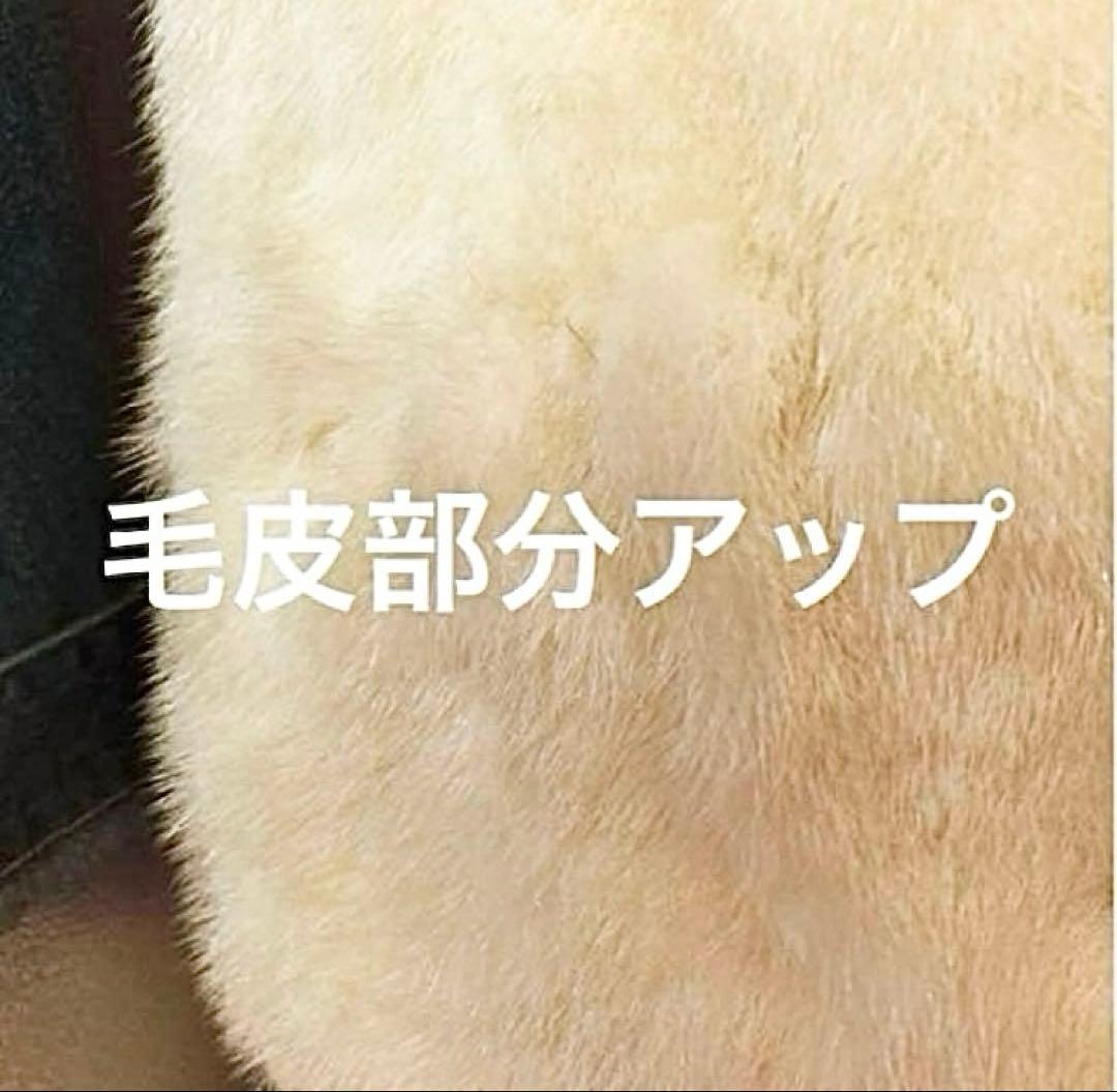 毛皮美品❣️希少デザイン★パロミノミンクヴィンテージミドル丈 女優風 9〜11号