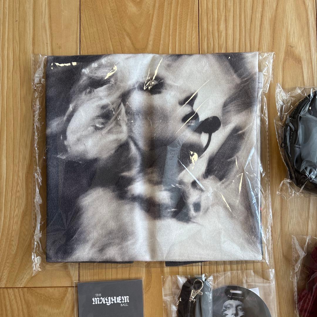 東京ドーム2026/1/29レディガガ　ライヴコンサートグッズ