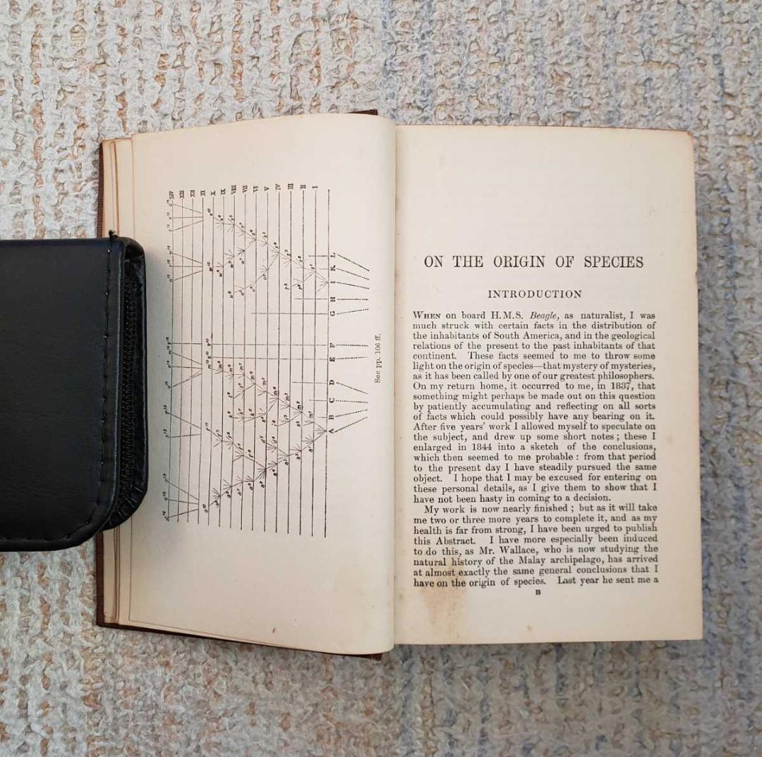 1902年 チャールズ・ダーウィン『種の起源』