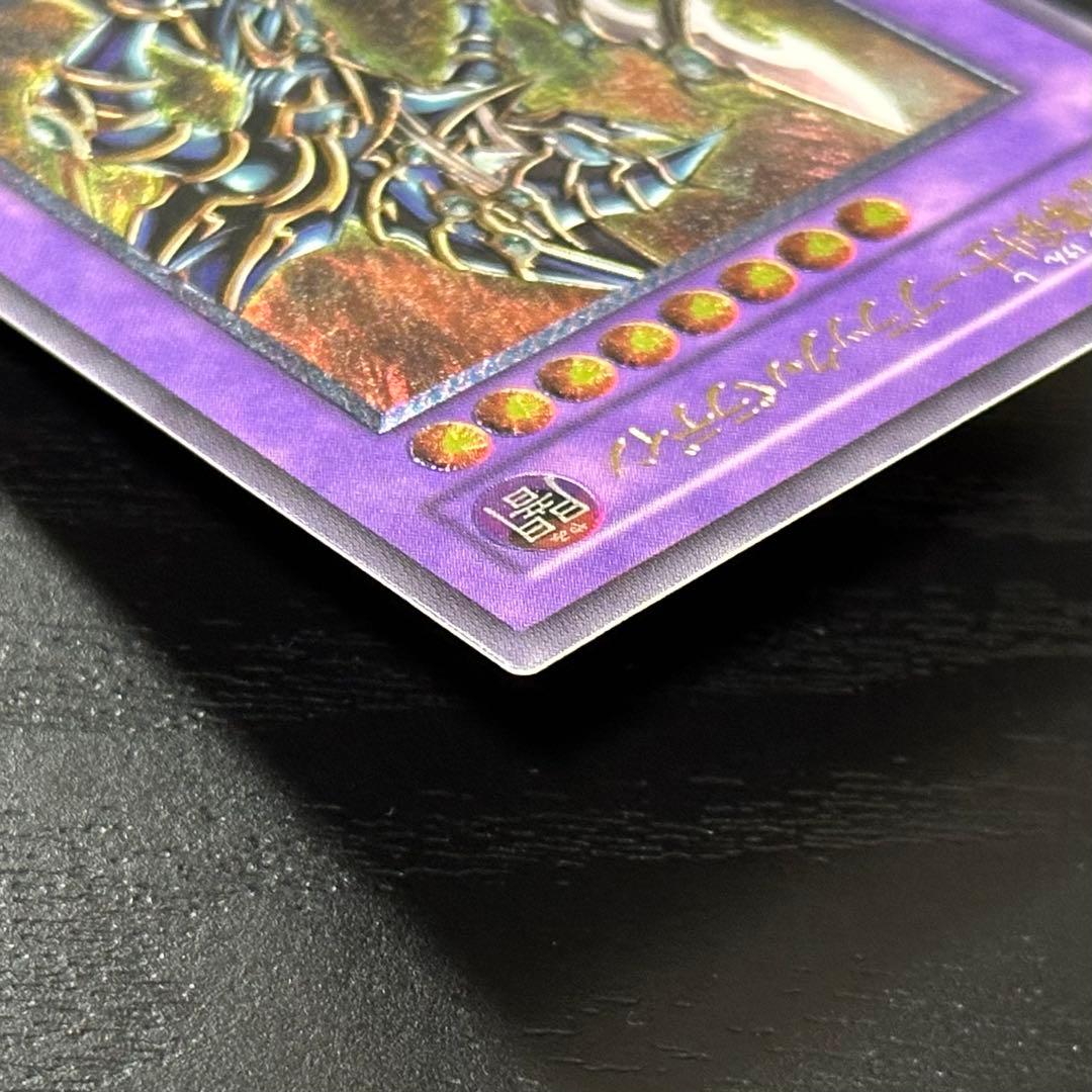 遊戯王 ブラックパラディン レリーフ