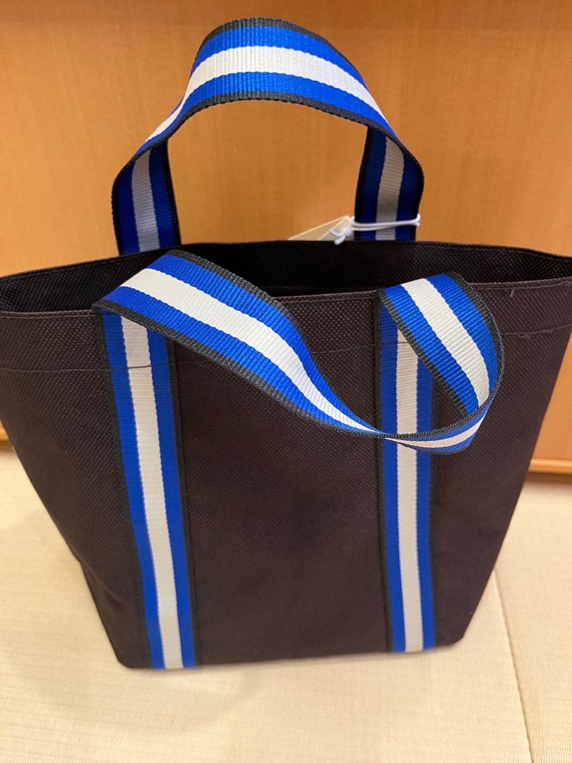 アニヤハインドマーチ　ミニエコバッグ