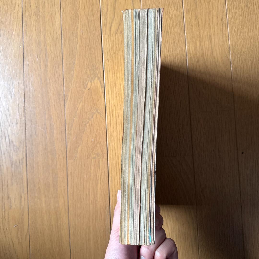 週刊少年ジャンプ 1998年6号 ONE PIECE初期掲載号