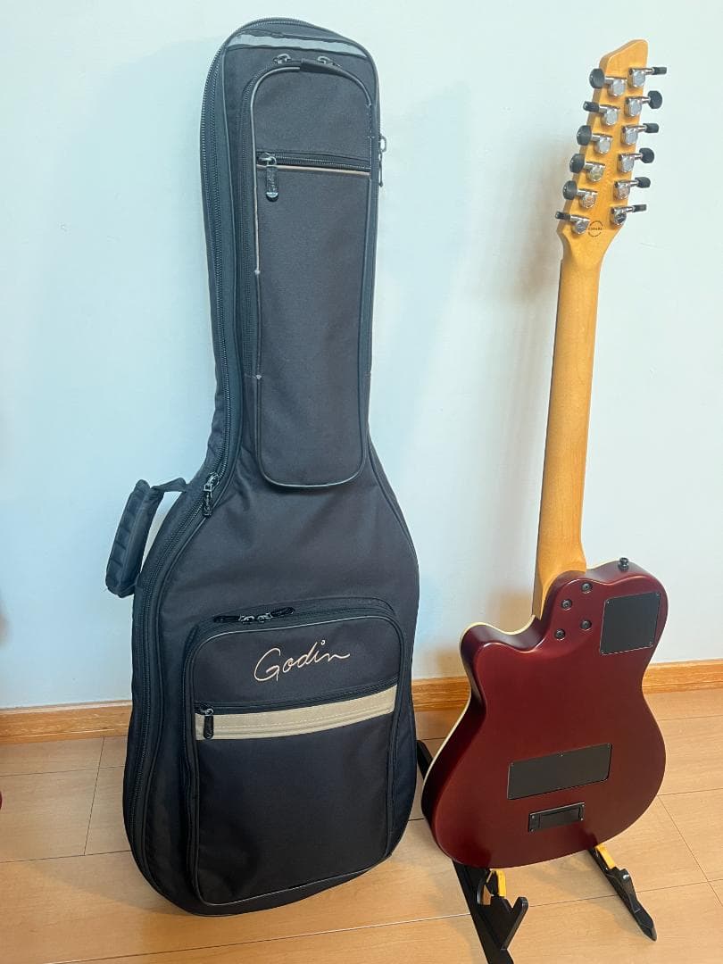 Godin　ゴダン　アコースティックギター　A-１２　１２弦ギター　エレアコ