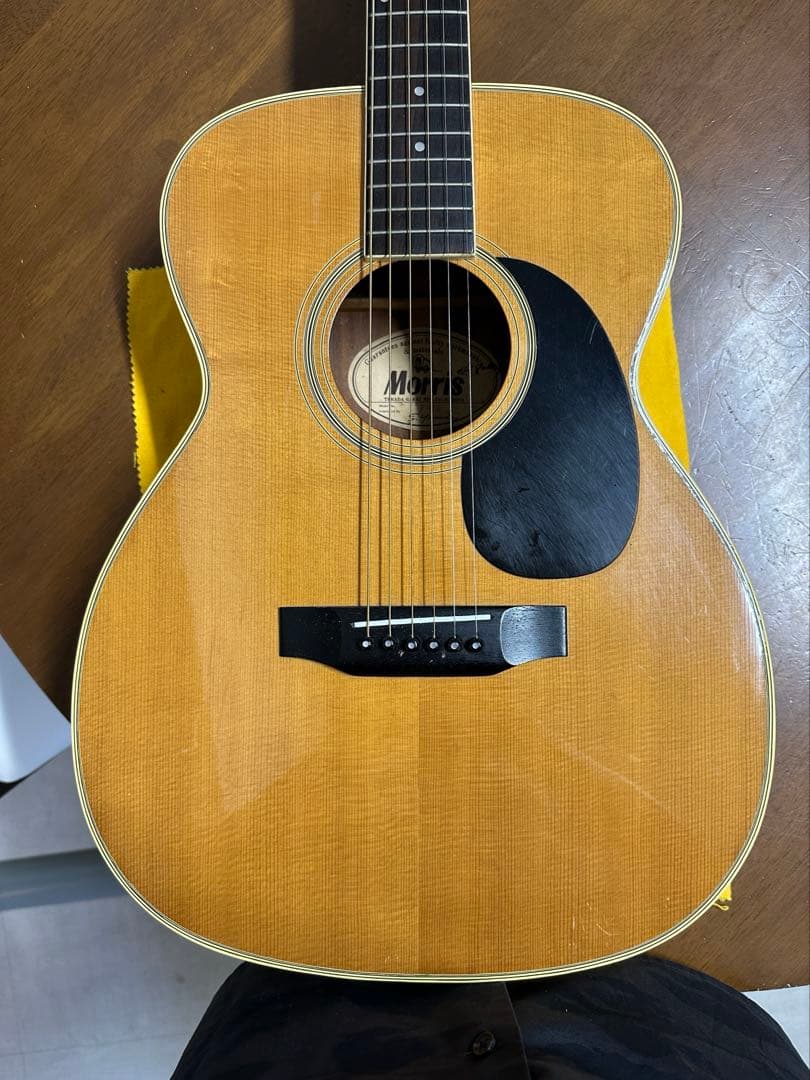 Morris(モーリス) F-20 King Gnu 常田大希氏使用モ